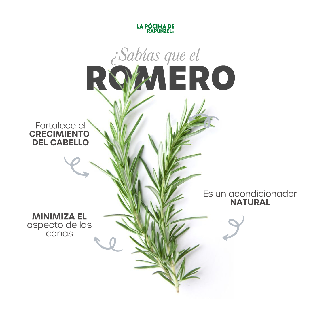 KIT SHAMPOO HIDRATANTE anti-caída p/cabello seco y loción herbolaria p/crecimiento