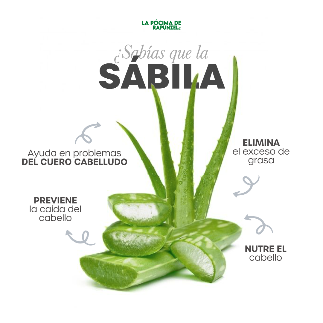 KIT SHAMPOO HIDRATANTE anti-caída p/cabello seco y loción herbolaria p/crecimiento